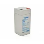 Аккумуляторная батарея AGM MERLION GP450F1 4V / 5Ah (Grey Case)
