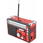 Портативний радіоприймач Voltronic GOLON RX381BT
