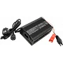 Зарядний пристрій для акумуляторів Voltronic LiFePo4 48V (58.4V), 16S, 5A (+ крокодили)