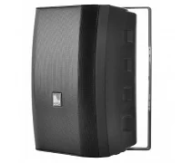 Настінна акустична система AMC VIVA 8 Black (RAL9017)