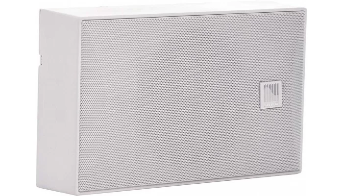 Настінна акустична система AMC iSpeak 5EN White (RAL 9016), фото № 1