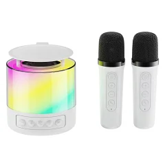 Автономная акустическая система TMG K19 (2MIC+BT+USB+FM)