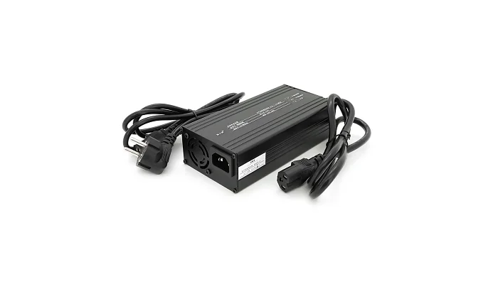Зарядний пристрій для акумуляторів LiFePO4 Voltronic 24 В (29,2 В), 8S, 10 А, штекер Triangle plug (T-тип/C13/IEC), фото № 2