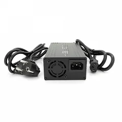 Зарядний пристрій для акумуляторів LiFePO4 Voltronic 24 В (29,2 В), 8S, 10 А, штекер Triangle plug (T-тип/C13/IEC)