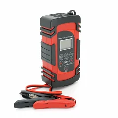Автоматическое зарядное устройство для аккумуляторов (MF,WET,AGM,GEL) DEMUDA 12V / 24V, AC110 / 220V
