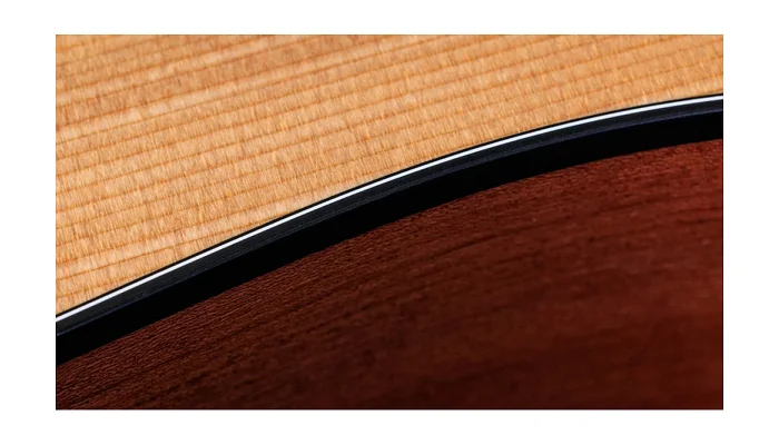 Гітара електроакустична TAYLOR GUITARS 150ce, фото № 5