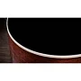 Гітара електроакустична TAYLOR GUITARS Gold Label 517e (Blacktop)