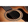 Електроакустична гітара Taylor 314ce Studio (Shaded Edgeburst)