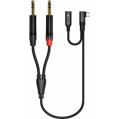 Двоканальний симетричний аудіокабель Roxtone RA3B-TC2JS USB-C — 2*6,35 мм стерео