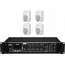 Комплект звуку DV audio MA1804MS6W для приміщення до 160 м.кв