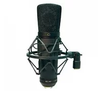 Конденсаторный микрофон BIG ESY910 Condenser