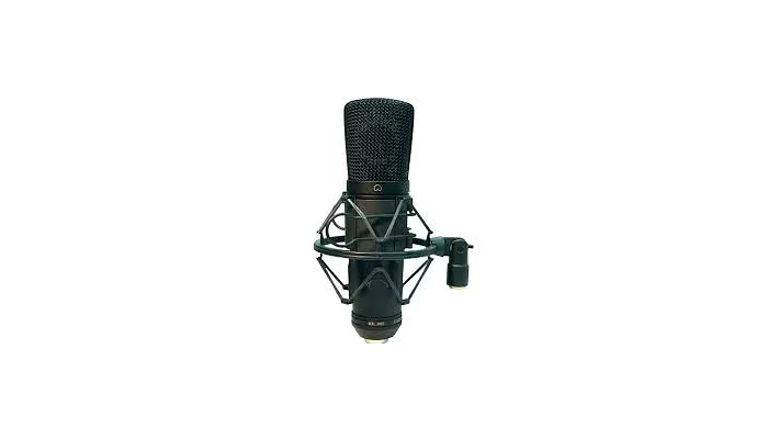 Конденсаторний мікрофон BIG ESY910 Condenser