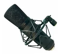 Конденсаторний мікрофон BIG ESY920 Condenser