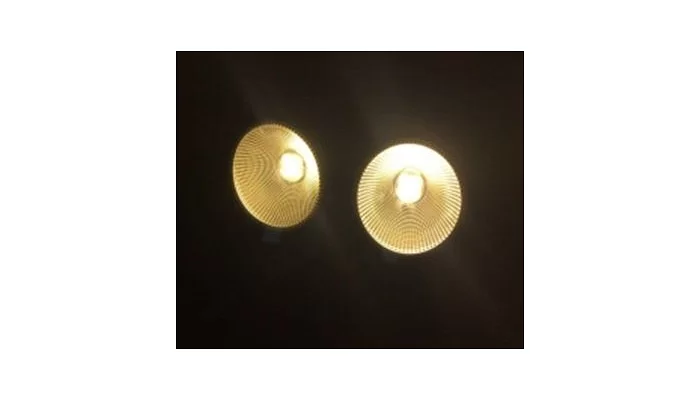 Светодиодный блиндер City Light CS-B210 LED COB MOSAIC 2*100W, фото № 2
