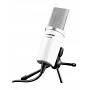 Микрофон для караоке Takstar PCM-1200l, лиловый