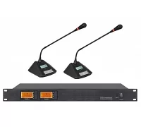 Бездротова конференц-система з двома мікрофонами Younasi RL-7400C