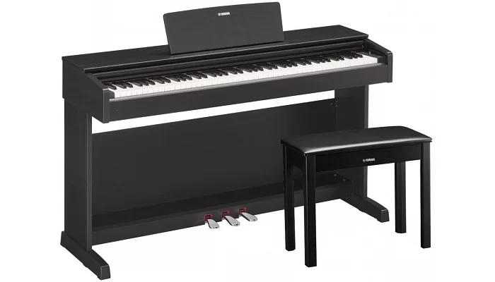 Цифровое фортепиано YAMAHA ARIUS YDP-143B (+блок питания), фото № 1