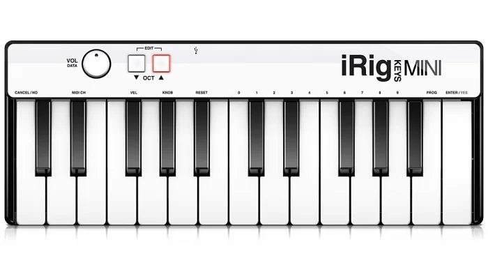 MIDI-клавіатура IK MULTIMEDIA iRig Keys Mini, фото № 1