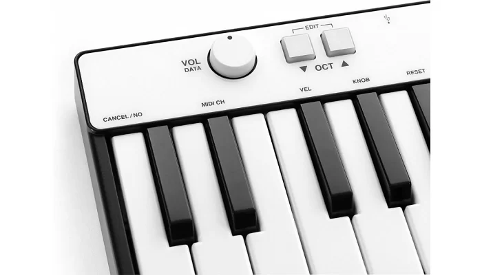 MIDI-клавиатура IK MULTIMEDIA iRig Keys Mini, фото № 3