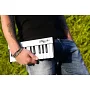MIDI-клавиатура IK MULTIMEDIA iRig Keys Mini