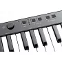 MIDI-клавиатура IK MULTIMEDIA iRIG KEYS 37