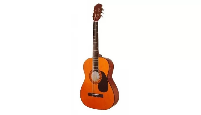 Акустическая гитара MAXTONE WGC360, фото № 3