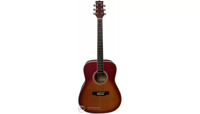 Вертикальное фото акустической гитары PARKSONS JB 4111(Sunburst) в полном размере