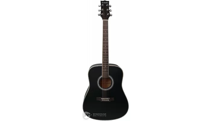 Акустическая гитара PARKSONS JB4111 (Black), фото № 1