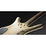 Бас-гитара WARWICK CORVETTE $$ 4 (NATURAL OF)