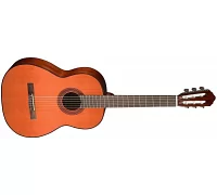 Классическая гитара CORT AC100DX (YT)