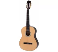 Классическая гитара MAXTONE CGC3911
