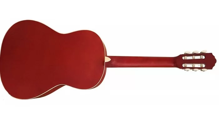 Классическая гитара PARKSONS RCG001-39NF, фото № 2