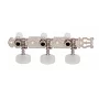 Колки для класичної гітари GOTOH 35G350 N