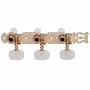 Колки для класичної гітари GOTOH 35G420 SG