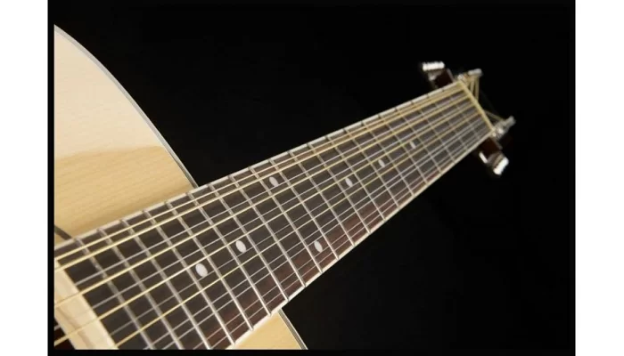 Акустическая гитара EPIPHONE DR-212 NATURAL CH HDWE, фото № 19