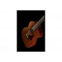Акустическая гитара IBANEZ AC240 OPN