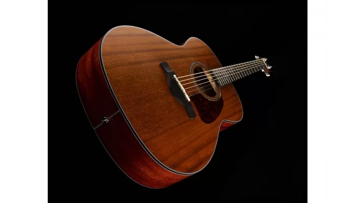 Акустическая гитара IBANEZ AC340 OPN, фото № 6