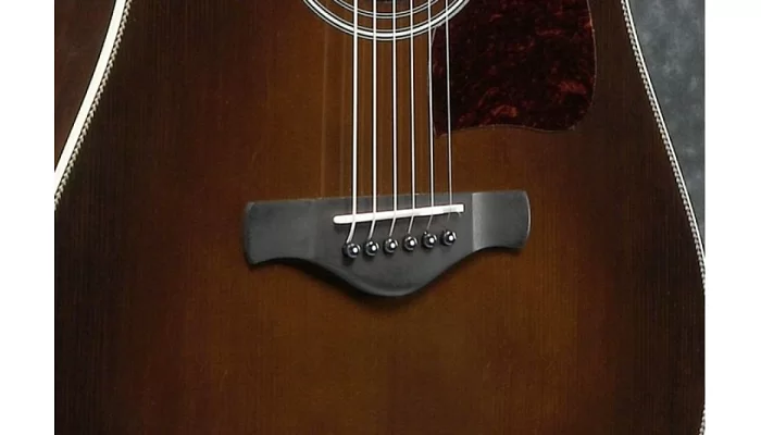 Акустическая гитара IBANEZ AVD10 BVS, фото № 3