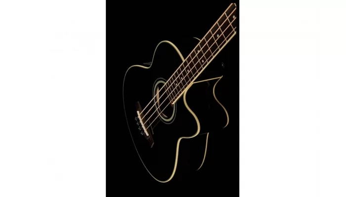 Бас-гитара акустическая IBANEZ AEB8E BLACK, фото № 8