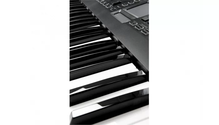 Клавишный MIDI-контроллер KORG TRTK-49 MIDI, фото № 10
