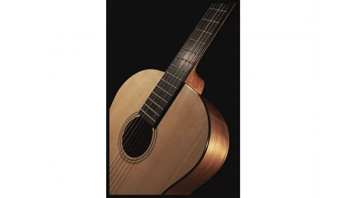 Классическая гитара FENDER ESC-105, фото № 7
