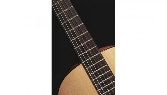 Классическая гитара FENDER ESC-105, фото № 9