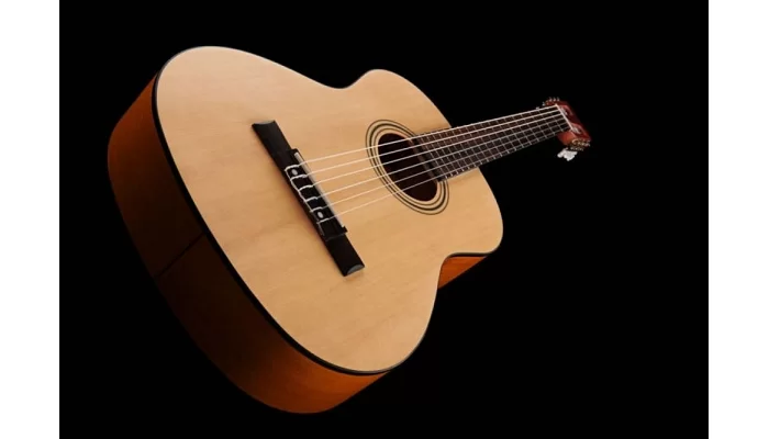 Классическая гитара FENDER ESC-80, фото № 8