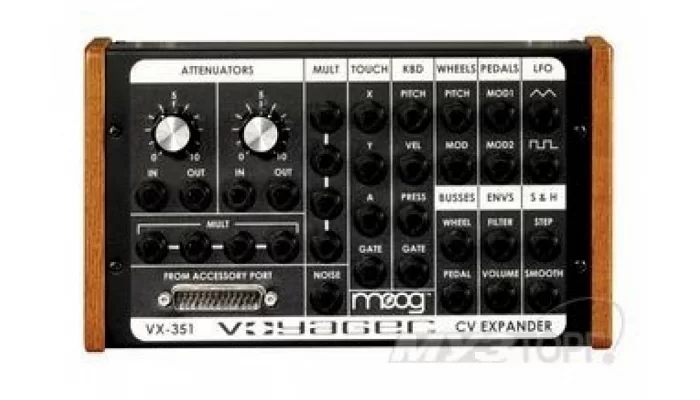 Синтезатор MOOG VX351
