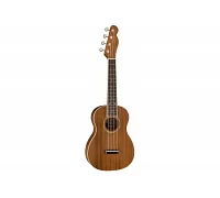 Укулеле FENDER UKULELE ZUMA CONCERT NATURAL WN