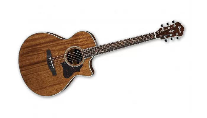 Електроакустична гітара IBANEZ AE245 NT, фото № 2