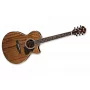 Електроакустична гітара IBANEZ AE245 NT