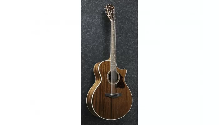 Електроакустична гітара IBANEZ AE245 NT, фото № 3