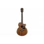 Електроакустична гітара IBANEZ AE245 NT