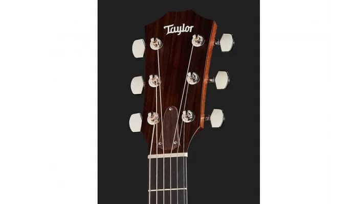Электроакустическая гитара TAYLOR GUITARS 314CE, фото № 10